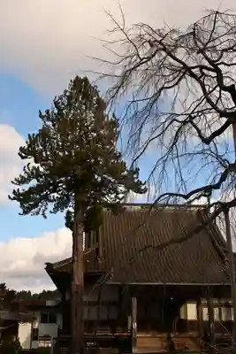 浄専寺(宮崎県)