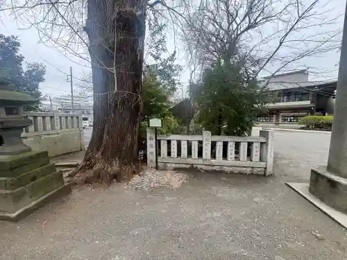 葛西神社の{uncategorized: "未分類", other: "その他", undefined: "問題あり", building: "その他建物", grave: "お墓", sacred_gate: "鳥居", guardian: "狛犬", statue: "像", buddha: "仏像", history: "歴史", nature: "自然", garden: "庭園", animal: "動物", pagoda: "塔", temizu: "手水舎", mountain_gate: "山門・神門", sanctuary: "本殿・本堂", subordinate: "末社・摂社", art: "芸術", scenery: "景色", jizo: "地蔵", ema: "絵馬", goshuin: "御朱印", omikuji: "おみくじ", items: "授与品その他", amulet: "お守り", goshuincho: "御朱印帳", eats: "食事", festival: "お祭り", votive_dance: "神楽", shichigosan: "七五三参", wedding: "結婚式", experience: "体験その他", initially: "初詣", around: "周辺", anti_infection: "感染症対策"}
