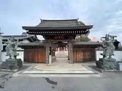 金蓮院の山門