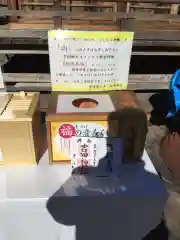 常陸第三宮　吉田神社のおみくじ