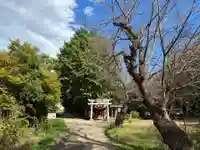 横戸元池辨天宮(千葉県)