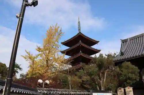 志度寺の塔