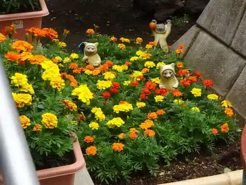 高円寺氷川神社の自然