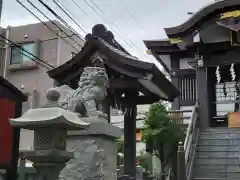 神楽坂若宮八幡神社の狛犬