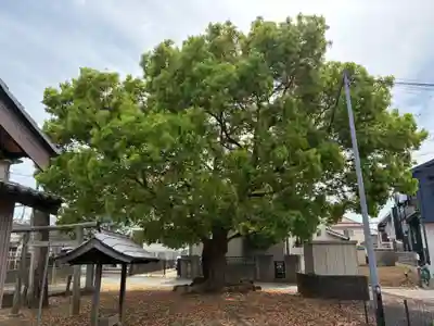 八幡神社(千葉県)