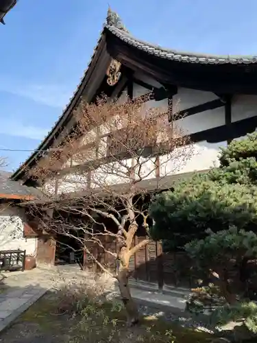 観智院（東寺子院）(京都府)