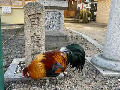 助松神社の動物