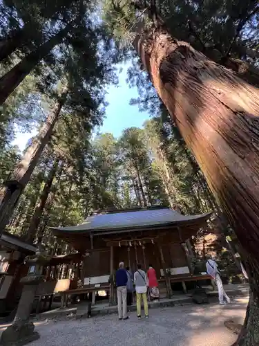 室生龍穴神社の本殿