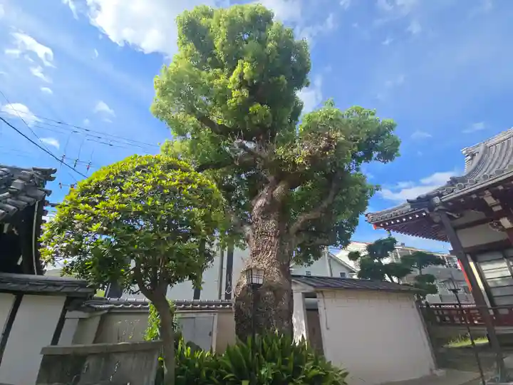 祐貞寺(大阪府)