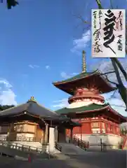 成田山新勝寺の塔