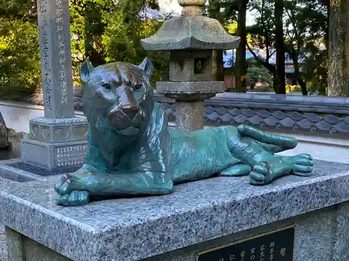 金剛證寺の狛犬