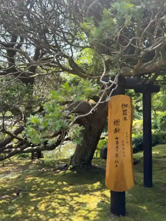 円通院(宮城県)