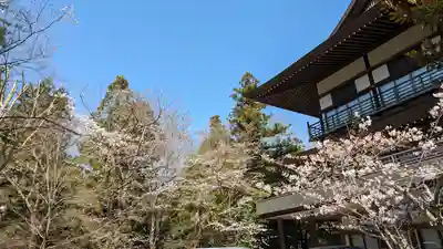 今熊野観音寺(京都府)