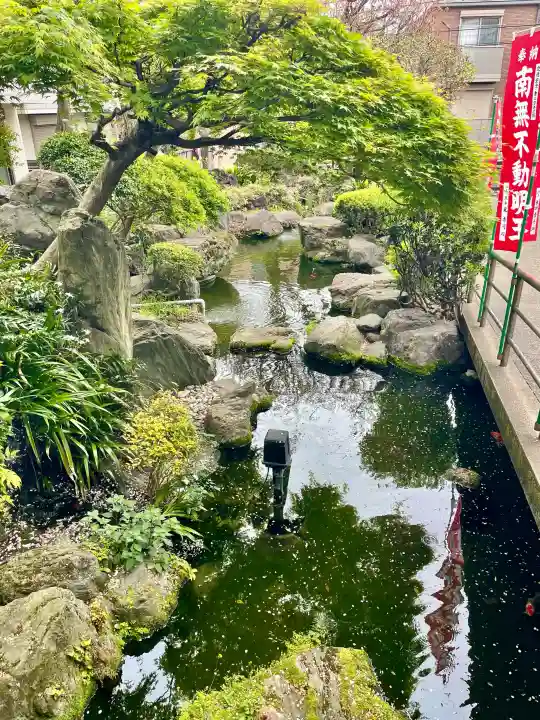 東光寺別院桜ヶ池不動院の{uncategorized: "未分類", other: "その他", undefined: "問題あり", building: "その他建物", grave: "お墓", sacred_gate: "鳥居", guardian: "狛犬", statue: "像", buddha: "仏像", history: "歴史", nature: "自然", garden: "庭園", animal: "動物", pagoda: "塔", temizu: "手水舎", mountain_gate: "山門・神門", sanctuary: "本殿・本堂", subordinate: "末社・摂社", art: "芸術", scenery: "景色", jizo: "地蔵", ema: "絵馬", goshuin: "御朱印", omikuji: "おみくじ", items: "授与品その他", amulet: "お守り", goshuincho: "御朱印帳", eats: "食事", festival: "お祭り", votive_dance: "神楽", shichigosan: "七五三参", wedding: "結婚式", experience: "体験その他", initially: "初詣", around: "周辺", anti_infection: "感染症対策"}
