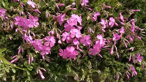 比佐豆知神社(三重県)