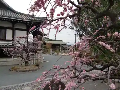 総持寺の庭園