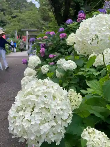 太平山神社(栃木県)