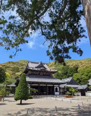 興国寺(和歌山県)