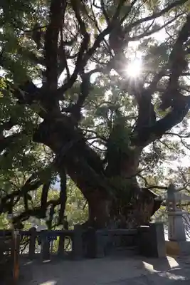 與止日女神社(佐賀県)