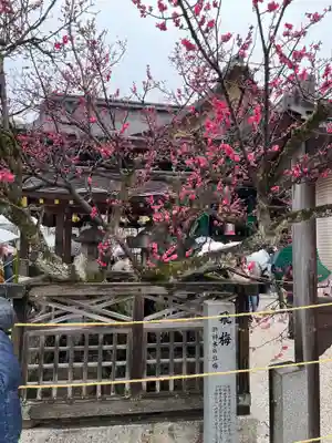 北野天満宮(京都府)
