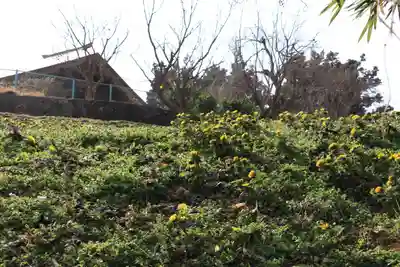 正観音堂の自然