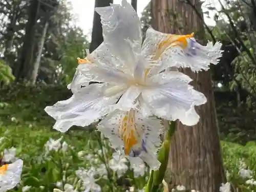 大宮温泉神社(栃木県)