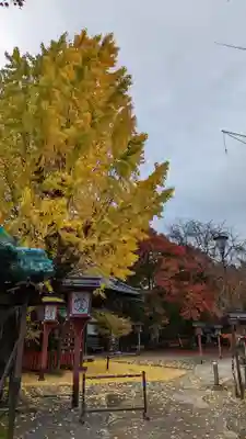 松ヶ崎大黒天 妙圓寺（妙円寺）(京都府)