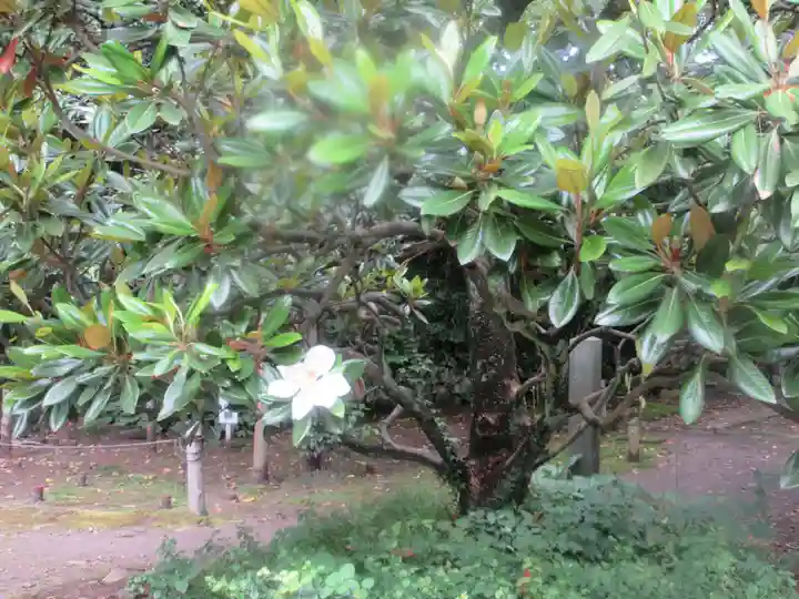 蚶満寺(秋田県)