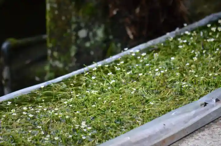 醒井延命地蔵尊(滋賀県)