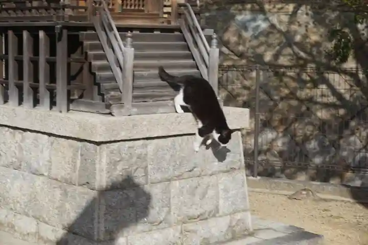 五宮神社の動物