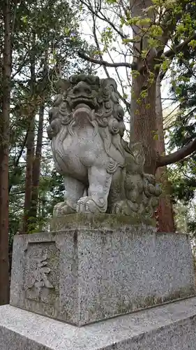 岩見澤神社の狛犬