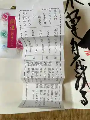 龍光寺のおみくじ