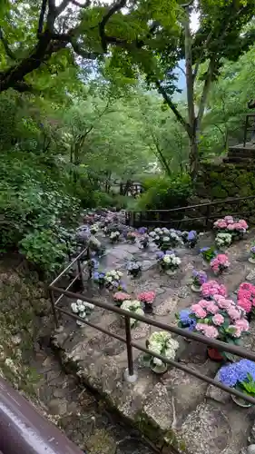 長谷寺(奈良県)