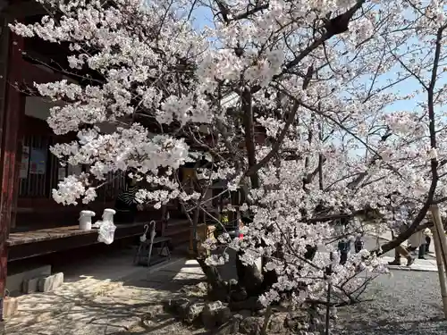 安岡寺(大阪府)