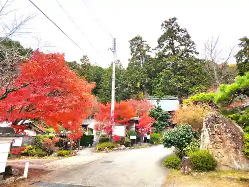 大国寺(兵庫県)