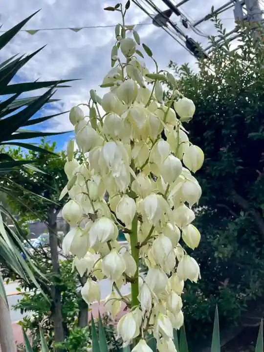 交通危除地蔵尊(東京都)