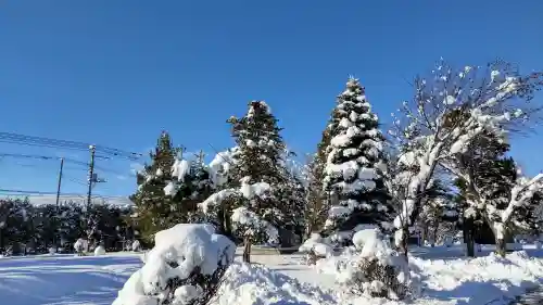 美瑛神社の自然