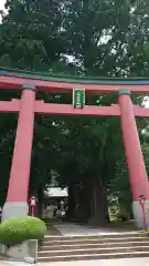 河口浅間神社の鳥居