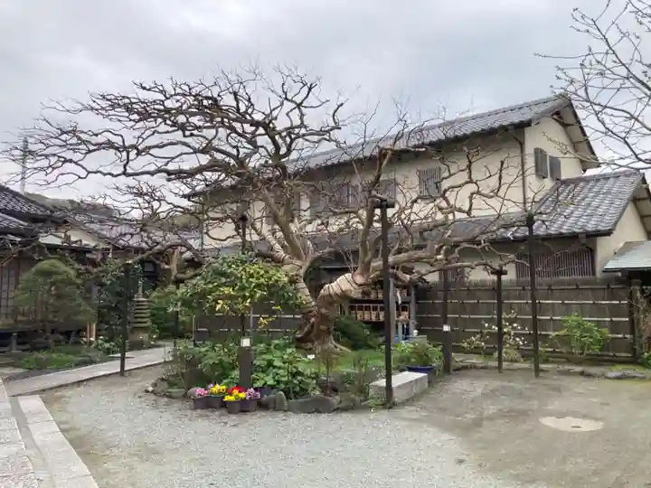 補陀洛寺(神奈川県)