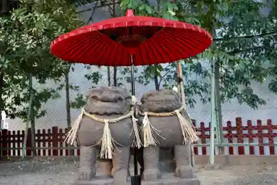 浅草神社の狛犬