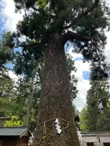 元伊勢内宮 皇大神社(京都府)