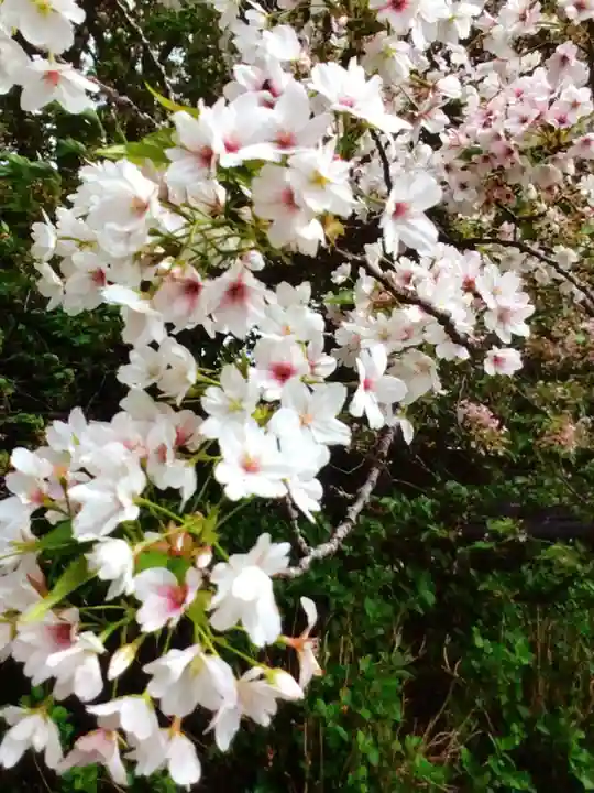 福蔵院(東京都)