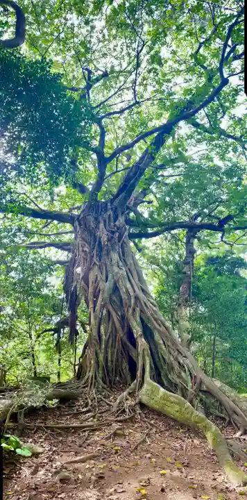 松尾天満宮(高知県)