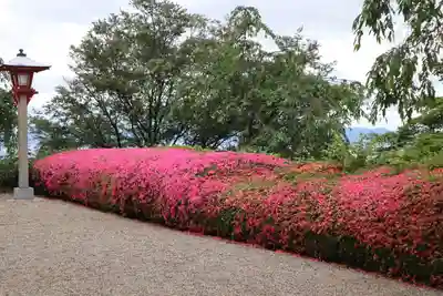 善峯寺(京都府)