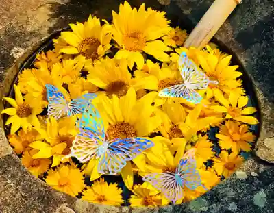 真言宗　善通寺派　薬王寺(香川県)