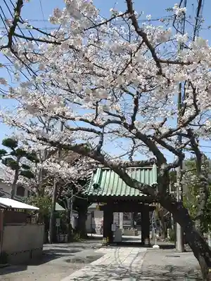 妙隆寺(神奈川県)