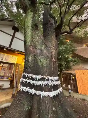 上目黒氷川神社(東京都)