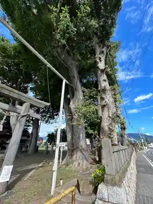 大門神社(長野県)
