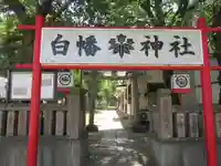 白幡神社(千葉県)