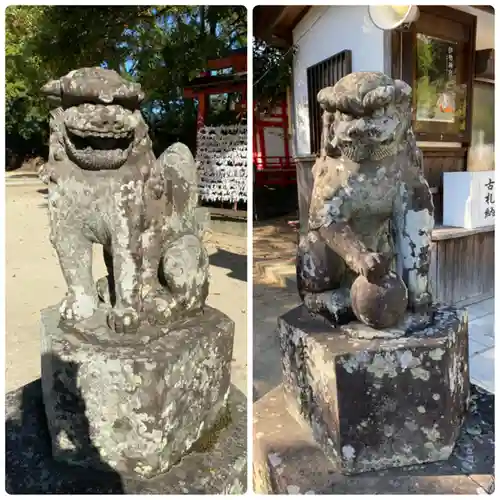 唐津神社の狛犬